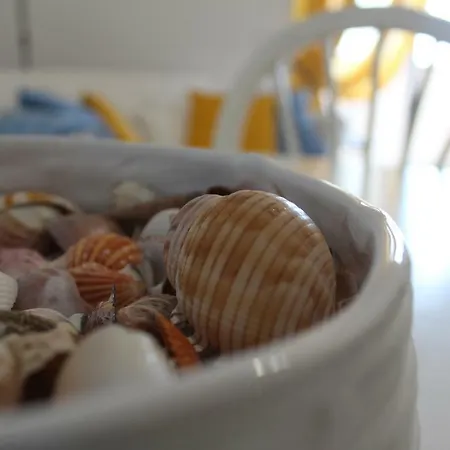 Copacabana Vista Mare E Parking 公寓 圣雷默